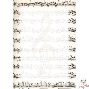 Dyplom A4 NUTY 170g. (25ark.) 213317 Galeria Papieru