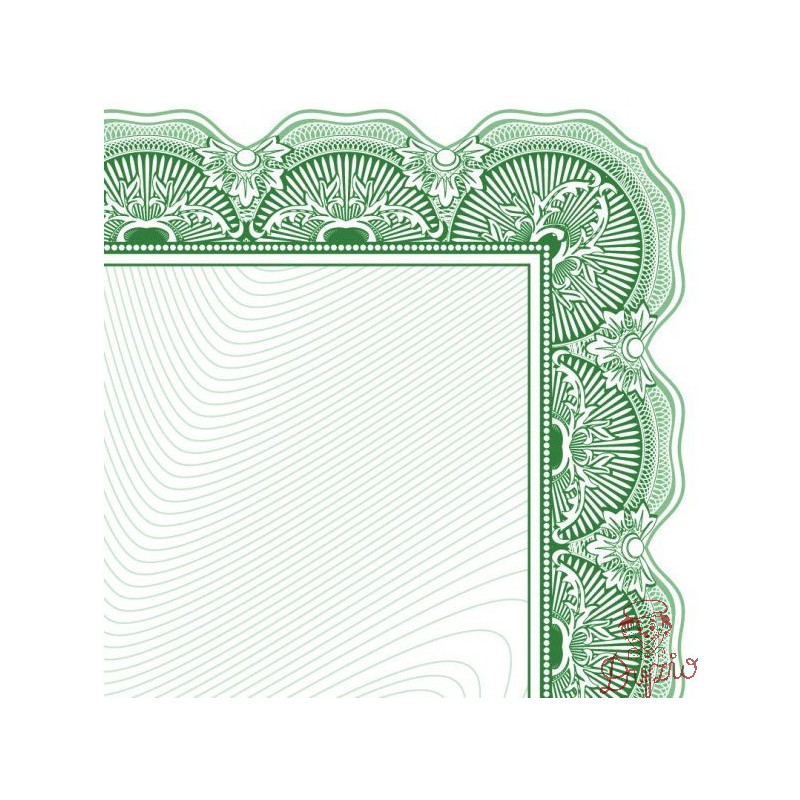 Dyplom A4 ARNIKA 170g (25ark) 210417 GALERIA PAPIERU