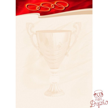 Dyplom A4 SPORT N 170g (25ark.) 212317 Galeria Papieru