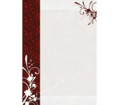 Dyplom A4 FINEZJA 170g (25ark) 211817 GALERIA PAPIERU