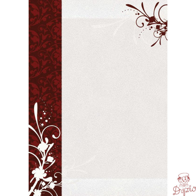 Dyplom A4 FINEZJA 170g (25ark) 211817 GALERIA PAPIERU