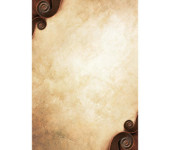 Dyplom A4 ADAGIO 170g (25ark) 216417 GALERIA PAPIERU