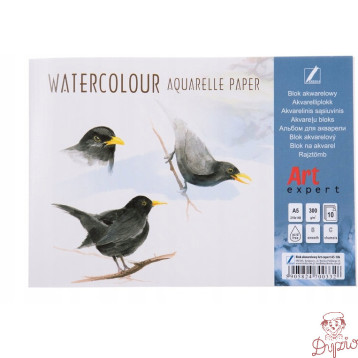 Blok akwarelowy A5 10k 300g Art Expert KRESKA