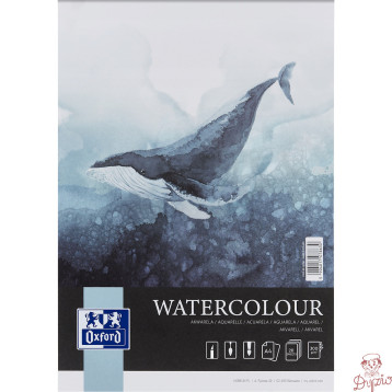 Blok do akwareli A4 20 kartek 300g 4-stronnie klejny ARTISTIC 400183972 OXFORD