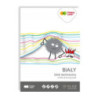 Blok techniczny A4 170g biały 3550 2030-0 HAPPY COLOR