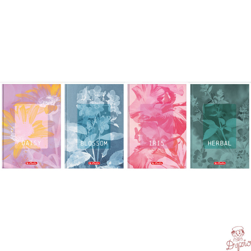 Brulion A5 96k kratka z marginesem BLOSSOM 400206436 HERLITZ
