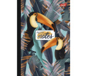 Brulion B5 96k kratka FOLIA UNIPAP