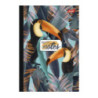 Brulion B5 96k kratka FOLIA UNIPAP