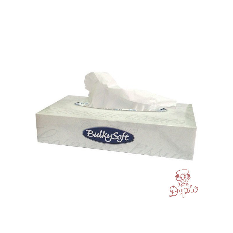 Chusteczki higieniczne BULKYSOFT 100sztuk 2 warstwy 68100