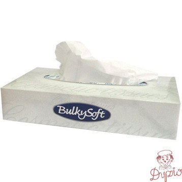 Chusteczki higieniczne BULKYSOFT 100sztuk 2 warstwy 68100