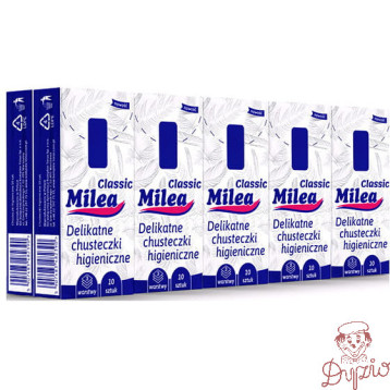Chusteczki higieniczne 3W CLASSIC 10x10szt. MILEA