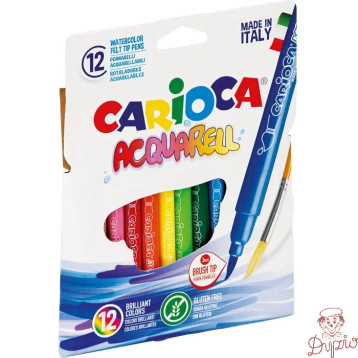 Flamastry AQUAREL 12 CARIOCA 41942 160-1461