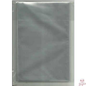 Torba foliowa C9 25/40 (25szt.) celofan POLSYR