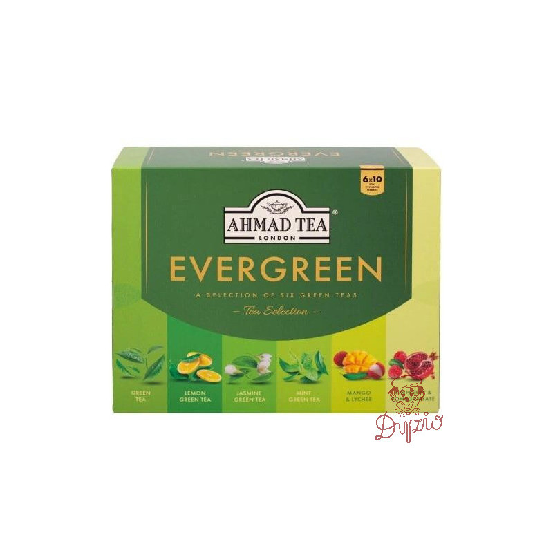 Herbata AHMAD TEA Evergreen zestaw (60 kopert 10x1,5g 50x2g)