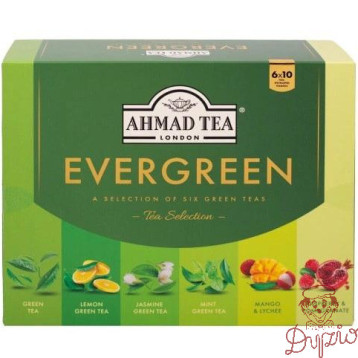 Herbata AHMAD TEA Evergreen zestaw (60 kopert 10x1,5g 50x2g)
