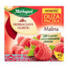 Herbata HERBAPOL owocowo-ziołowa (40 tb) Malina 108g HERBACIANY OGRÓD