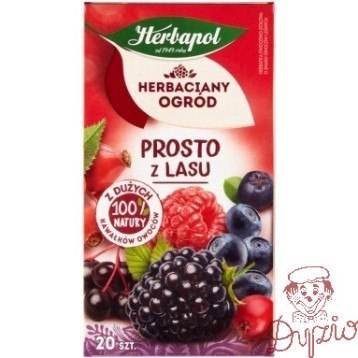 Herbata HERBAPOL owocowo-ziołowa (20 tb) Prosto z Lasu 50g HERBACIANY OGRÓD o smaku owoców leśnych
