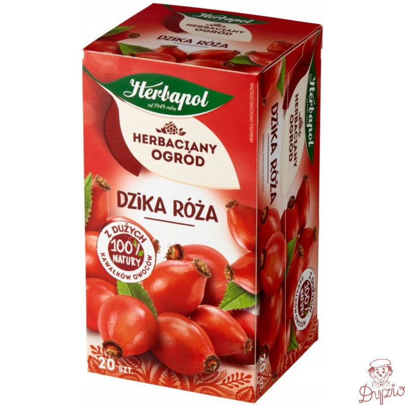 Herbata HERBAPOL owocowo-ziołowa (20 tb) Dzika Róża 70g HERBACIANY OGRÓD