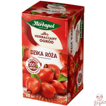 Herbata HERBAPOL owocowo-ziołowa (20 tb) Dzika Róża 70g HERBACIANY OGRÓD