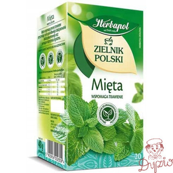 Herbata HERBAPOL ZIELNIK POLSKI (20 torebek) mięta