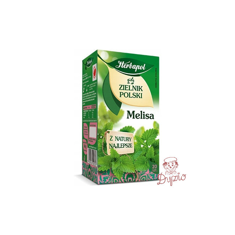 Herbata HERBAPOL ZIELNIK POLSKI (20 torebek) melisa