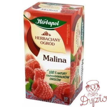 Herbata HERBAPOL owocowo-ziołowa (20 saszetek) Malina 54g HERBACIANY OGRÓD