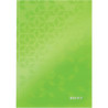 Brulion A5 80k kratka zielony 46281064 LEITZ WOW