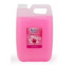Mydło w płynie 5L ANTYBAKTERYJNE ROSA (różowe) Magnolia