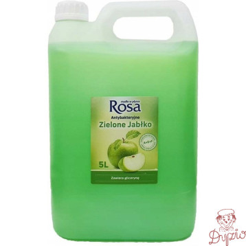 Mydło w płynie 5L ANTYBAKTERYJNE ROSA (zielone) Zielone Jabłko
