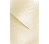 Karton ozdobny A4 OLYMPIA kremowy 220g (20) 203422 GALERIA PAPIERU