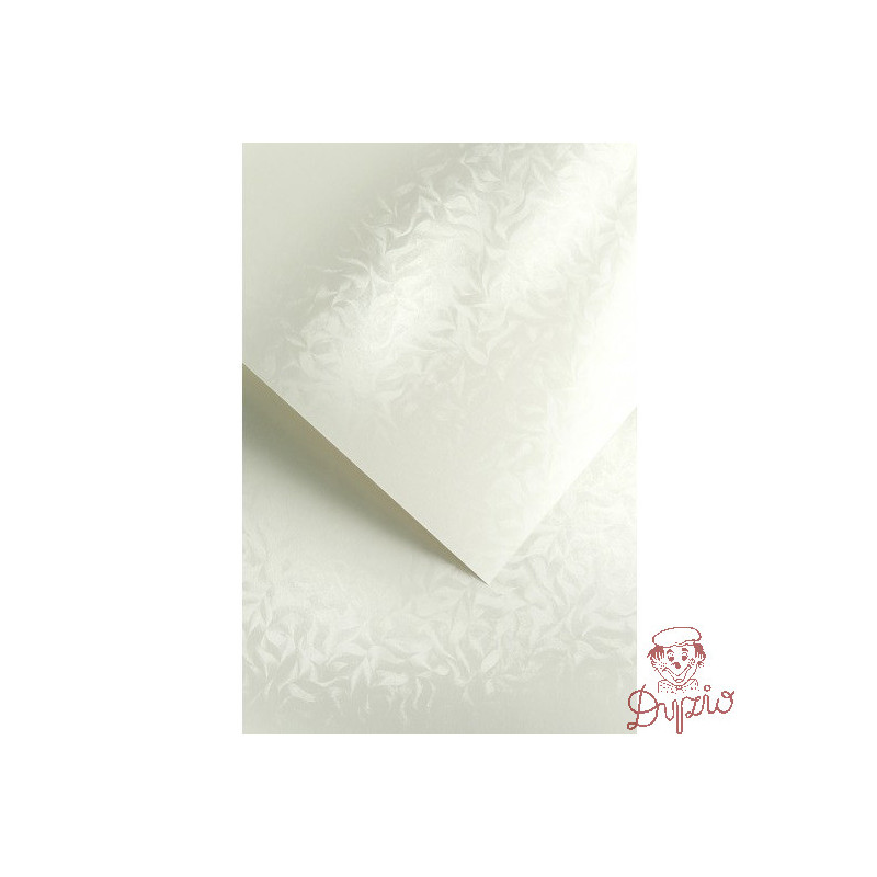 Karton ozdobny A4 OLYMPIA perłowa biel 220g (20) 203403 GALERIA PAPIERU