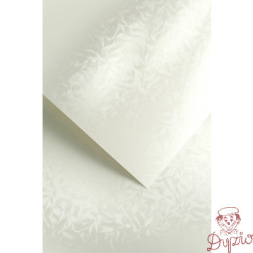 Karton ozdobny A4 OLYMPIA perłowa biel 220g (20) 203403 GALERIA PAPIERU