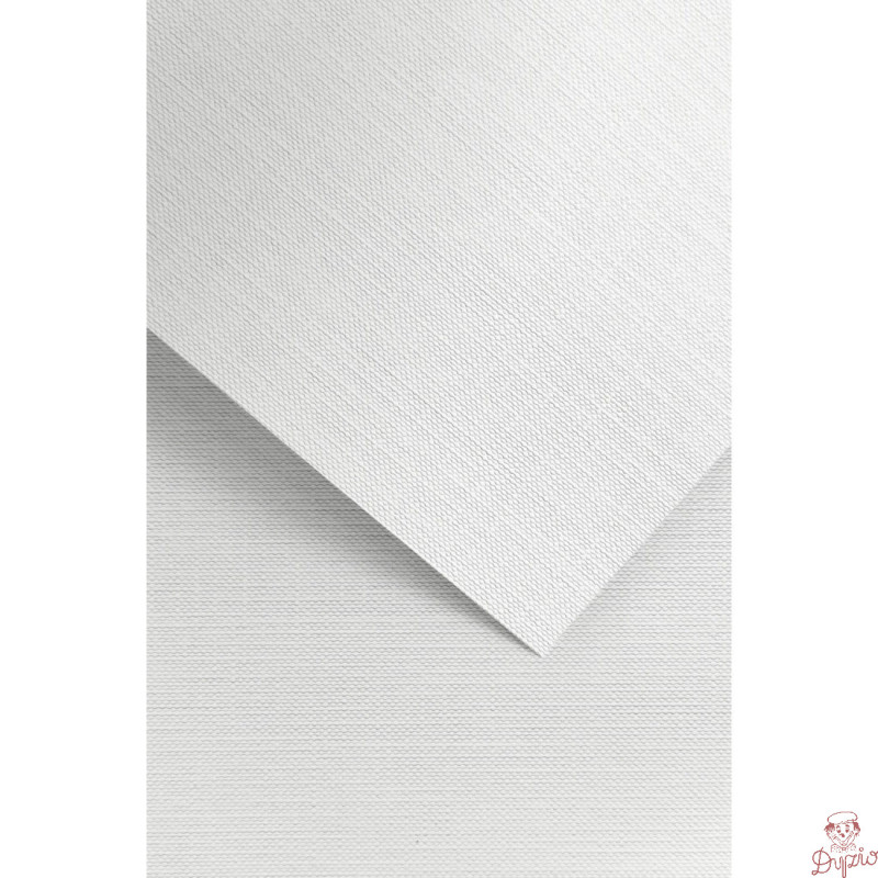 Karton ozdobny A4 RYPS biały 240g. (20ark.) 201811 Galeria Papieru
