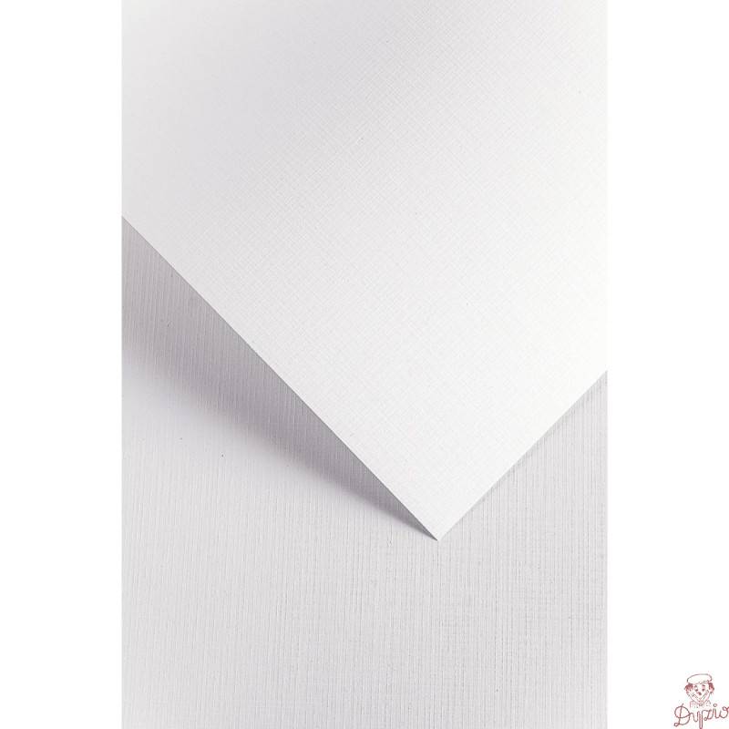 Karton ozdobny A4 KRATKA biały 220g. (20ark.) 201631 Galeria Papieru