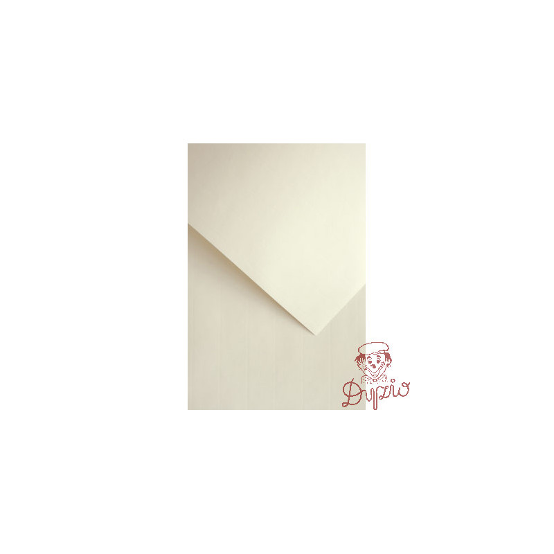 Karton ozdobny LAID beżowy 110g. (50ark.) 206903 Galeria Papieru