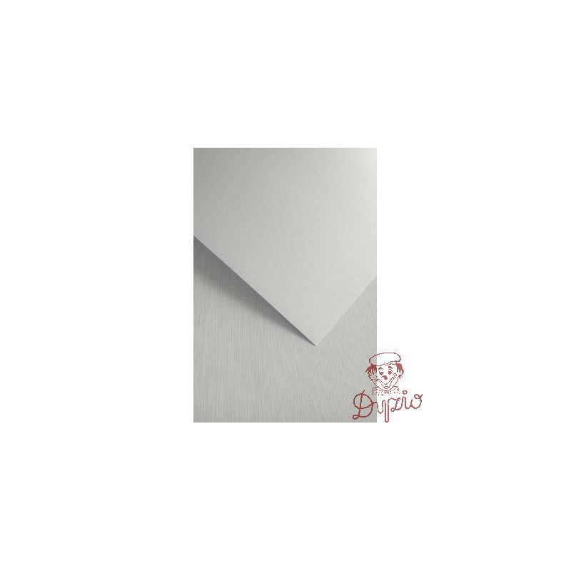 Karton ozdobny NATTE biały 120g. (50ark.) 206111 Galeria Papieru