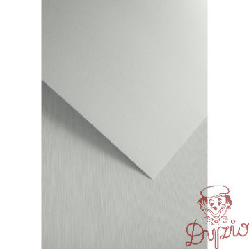 Karton ozdobny NATTE biały 120g. (50ark.) 206111 Galeria Papieru