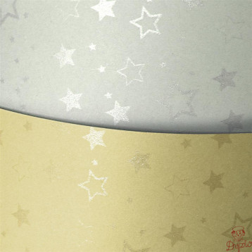 Karton ozdobny A4 STARS srebrny 220g (20ark.) 204305 Galeria Papieru