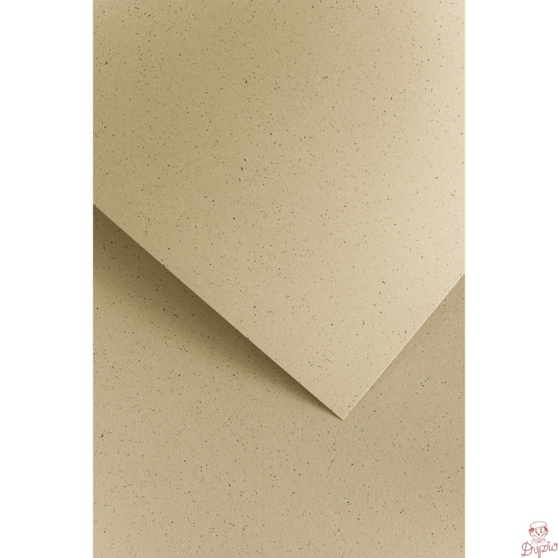 Karton ozdobny PEPPER brązowy 220g. (20ark.) 205218 Galeria Papieru