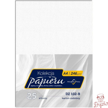 Karton wizytówkowy A4 246g DZ102-B (25) MICHALCZYK I PROKOP