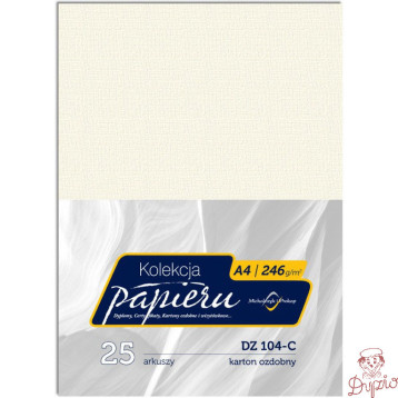 Karton wizytówkowy A4 246g DZ104-C (25) MICHALCZYK I PROKOP