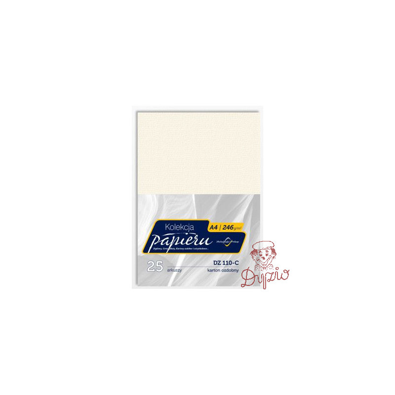 Karton wizytówkowy A4 246g DZ110-C (25) MICHALCZYK I PROKOP