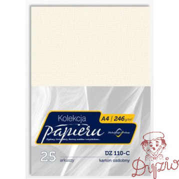 Karton wizytówkowy A4 246g DZ110-C (25) MICHALCZYK I PROKOP
