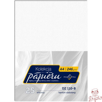 Karton wizytówkowy A4 246g DZ110-B (25) MICHALCZYK I PROKOP