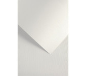 Karton ozdobny Sukno biały 230g. (20szt.) 204211 Galeria Papieru