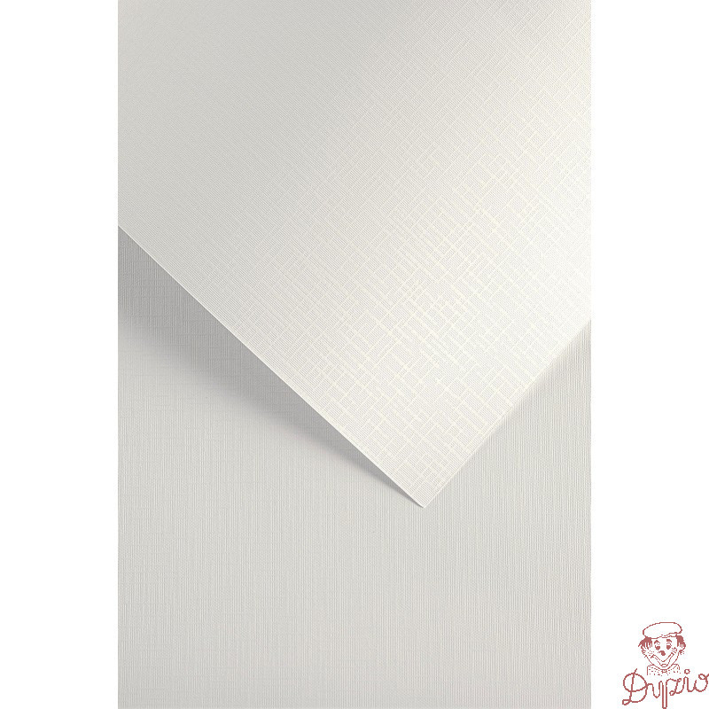 Karton ozdobny Sukno biały 230g. (20szt.) 204211 Galeria Papieru