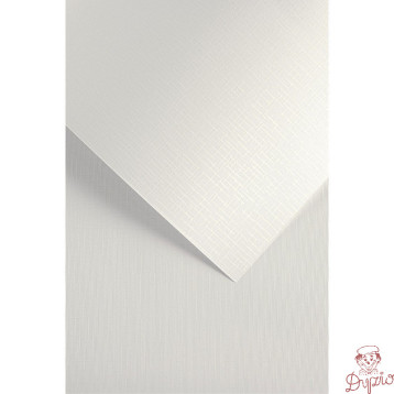Karton ozdobny Sukno biały 230g. (20szt.) 204211 Galeria Papieru