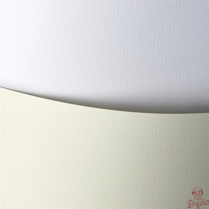 Karton ozdobny A4 LAID biały 120g (50ark.) 206001 Galeria Papieru