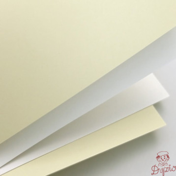 Karton ozdobny A4 GŁADKI biały 250g (20ark) 202801 Galeria Papieru
