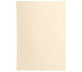 Karton wizytówkowy A4 FLORYDA kremowy 220g (20ark) 200302 Galeria Papieru